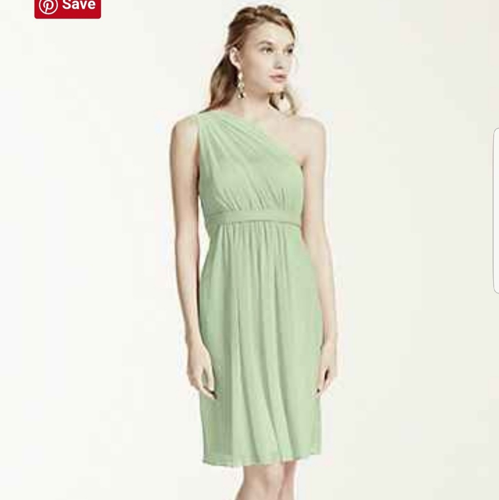 David's bridal mesh dress